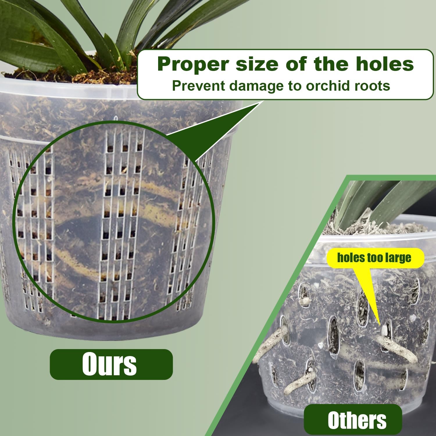 Orchid Pot, 2 Each of 4.3",5.5",6.1" Orchid Pots with Holes, Orchid Pots for Repotting - Image 4
