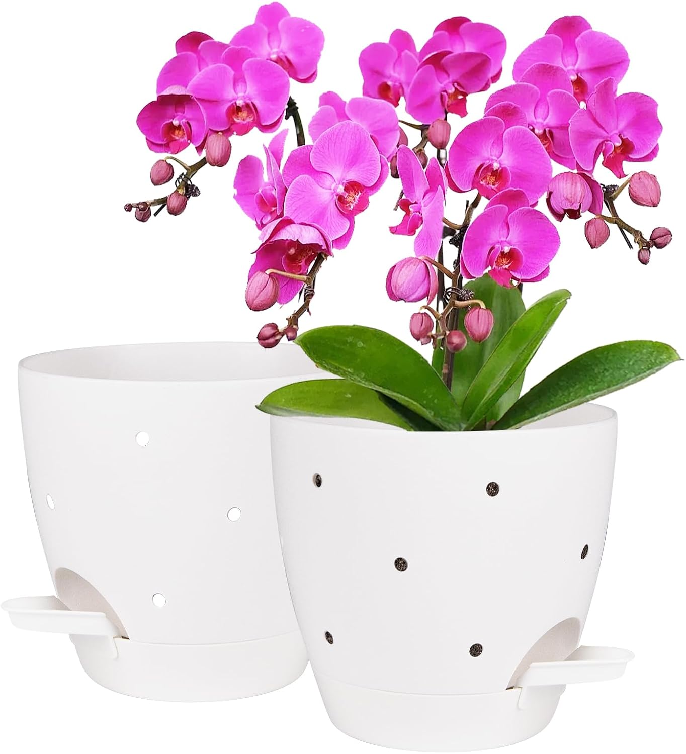Orchid Pot, 6 Inch Orchid Pots with Holes, 3 Pack Self Watering Plant Pots - Image 16