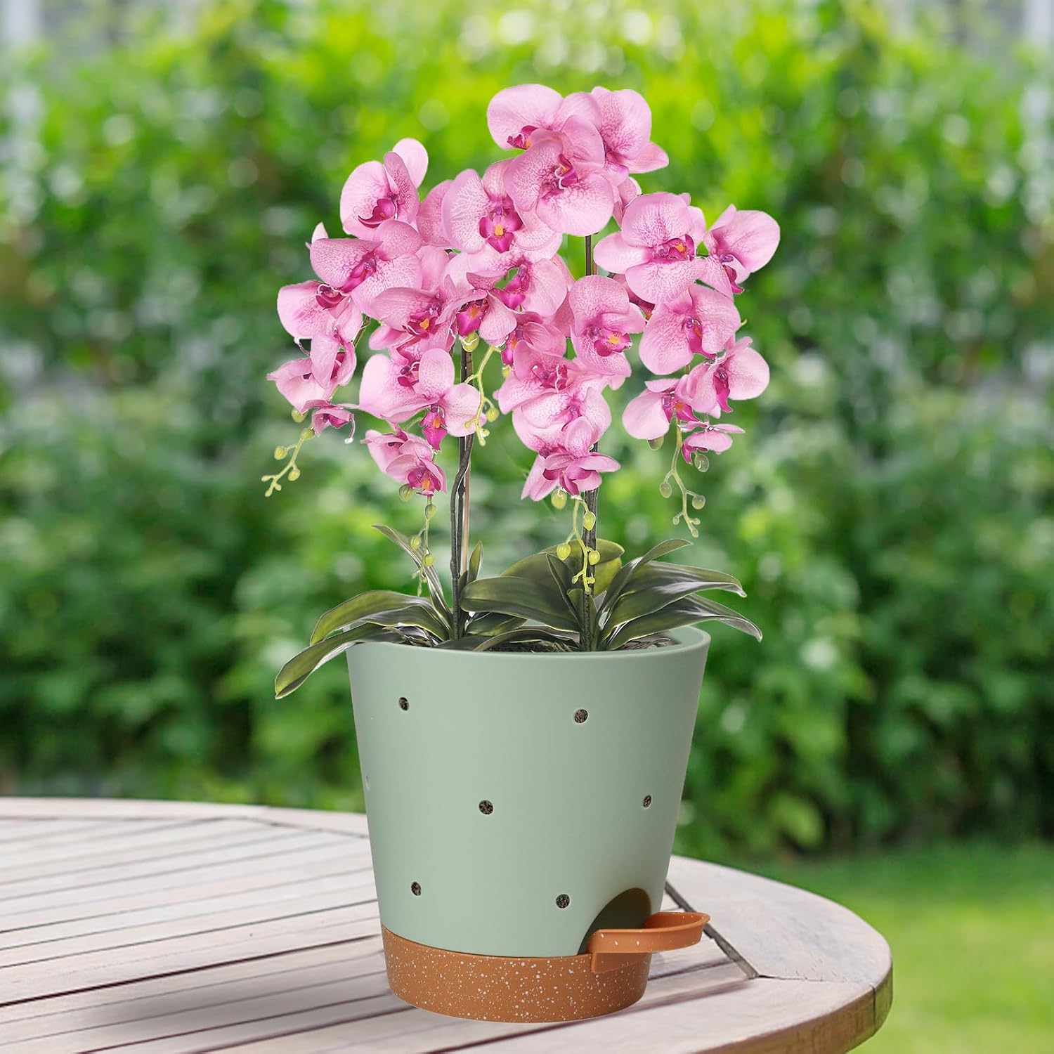 Orchid Pot, 6 Inch Orchid Pots with Holes, 3 Pack Self Watering Plant Pots - Image 7