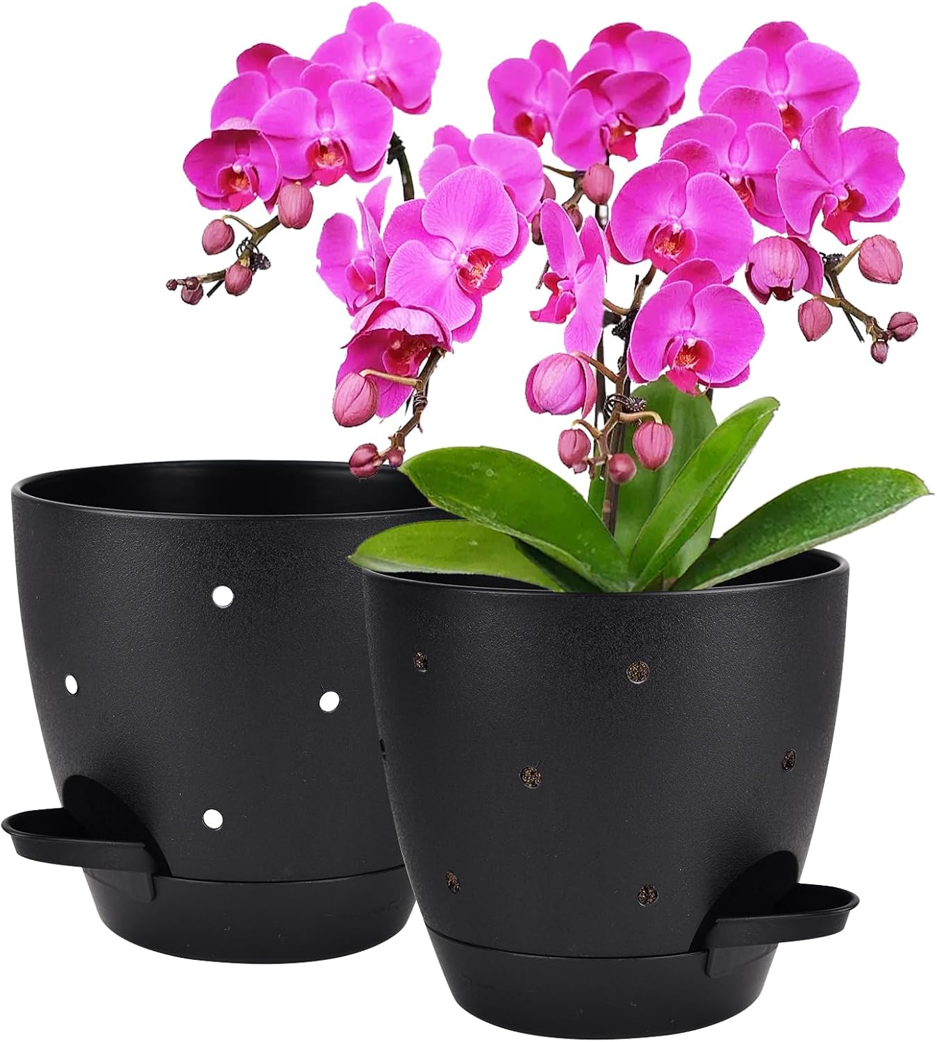 Orchid Pot, 6 Inch Orchid Pots with Holes, 3 Pack Self Watering Plant Pots - Image 14