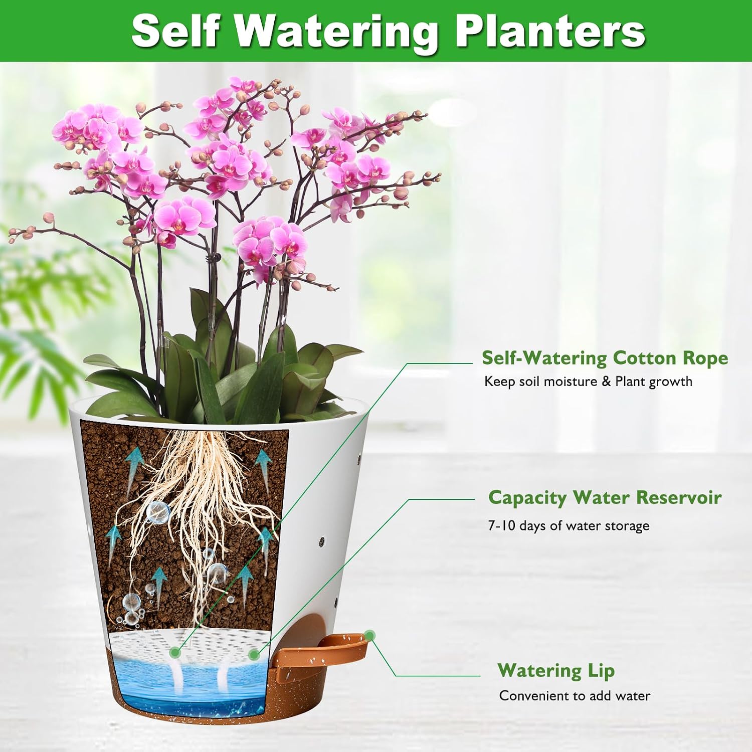 Orchid Pot, 6 Inch Orchid Pots with Holes, 3 Pack Self Watering Plant Pots - Image 5